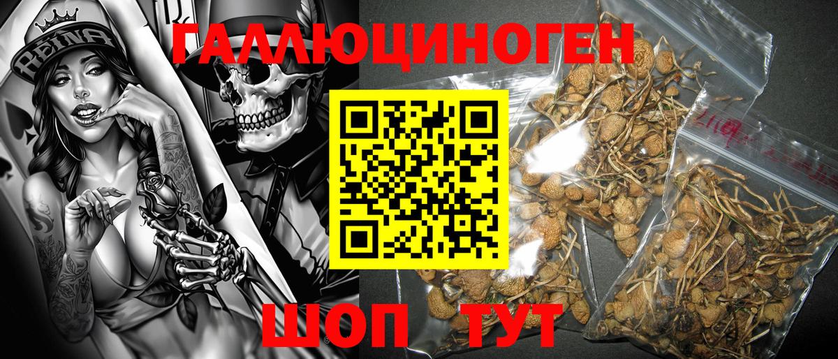 Галлюциногенные грибы прущие грибы Ипатово